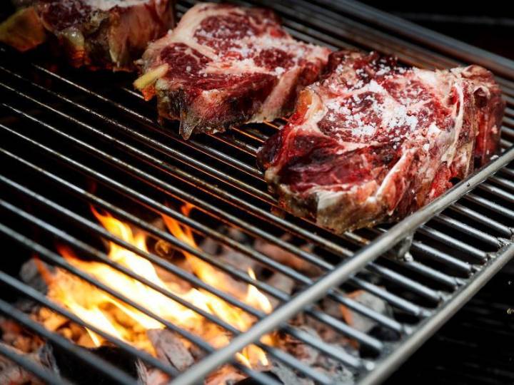 Documentan primera muerte por alergia a carne roja ligada a picadura de garrapata en Nueva Jersey