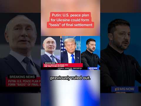 Putin: U.S. peace plan for Ukraine could form 'basis' of final settlement