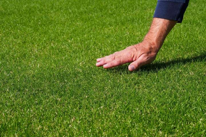 Deadspin | World Cup ticket holders can get priority visa appointments