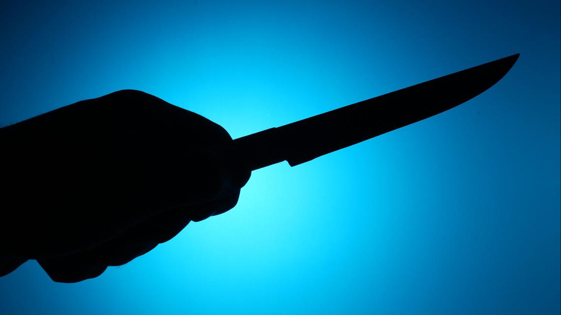 Son detained after mom found dead in house with stab wounds in Stockbridge, police say