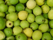 Refuerza tus defensas este invierno con los sabores del campo mexicano