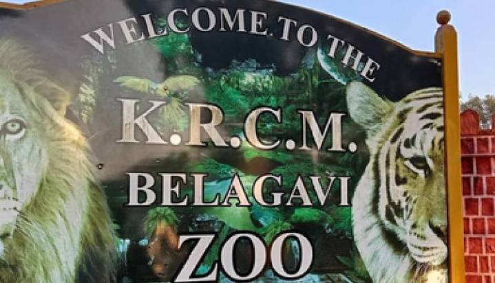 Karnataka: Another blackbuck succumbs, death toll at mini zoo climbs to 30