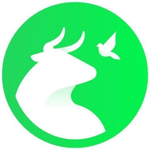 PACMA Murcia acusa a PP y Vox de frenar la protección de la tortuga mora pese a las advertencias científicas