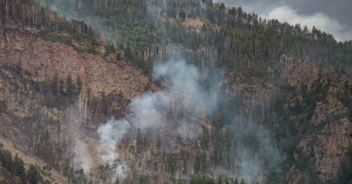 Awards from state cattle groups go to area residents