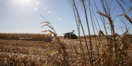 2025 harvest complete in Iowa; producers hope to improve ag economy for 2026