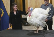 Tough turkey steals the show at annual North Dakota pardon