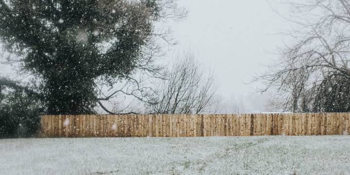 Winter Lawn Seeding: The Simple Trick to Try Before a Big Snow