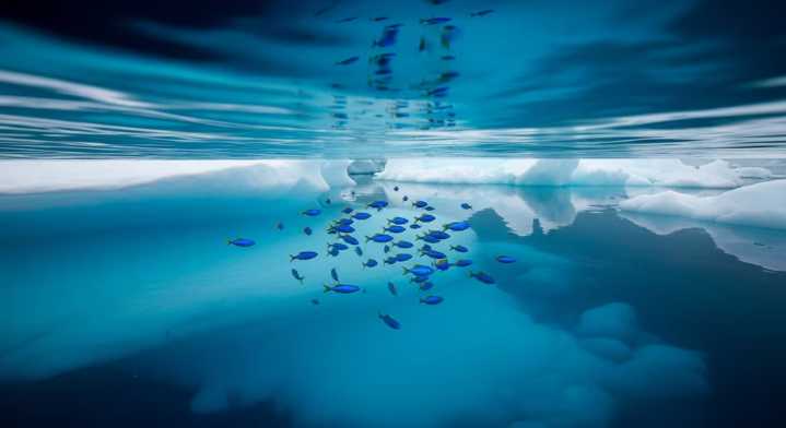 El océano como última defensa climática: por qué el futuro del planeta se juega en la COP30 de Belém