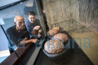 El MUPA presenta en sociedad un nuevo hallazgo paleontológico