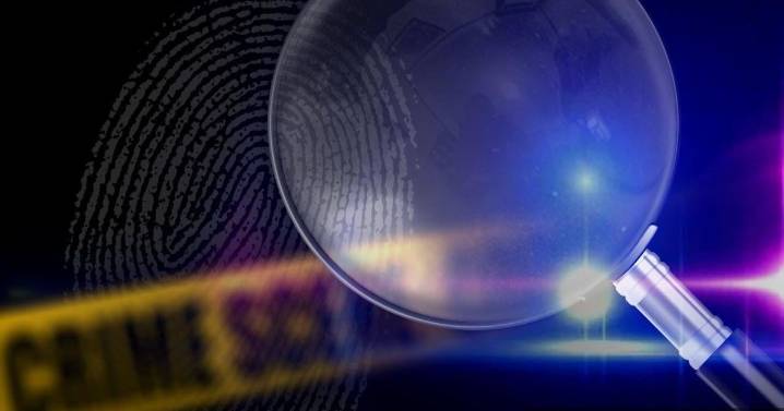 Two die after apparent drug overdoses in Cedar Rapids hotel