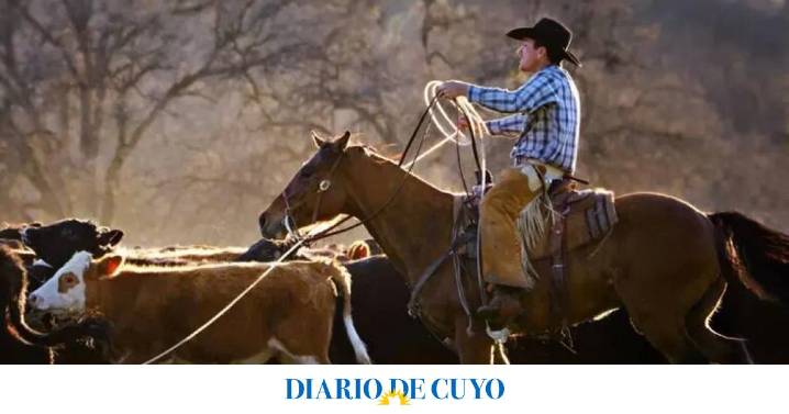 Furia de ganaderos en EEUU porque Trump importaría más carne argentina