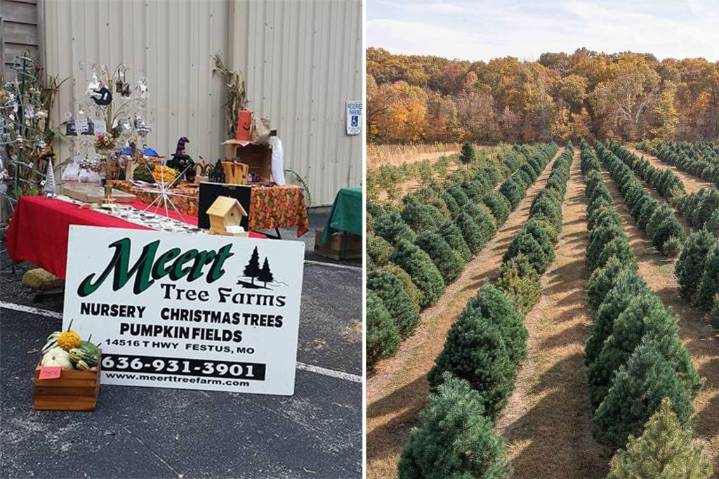'Iconic' Christmas tree farm hits the market for $2.2M in Missouri