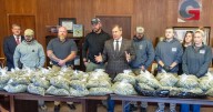 Gadsden citizen alerts police to strong odor leading to seizure of 95 pounds of marijuana