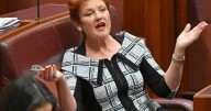 Hanson's tweet 'unfit for afternoon tea but not racist'