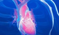Acoramidis Reduces Mortality in Amyloid Cardiomyopathy Up to 42 Months: Study