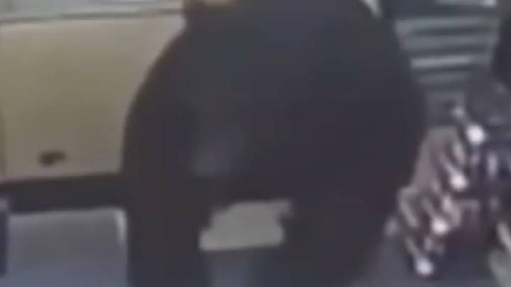 Bear Chases Boy Inside Pennsylvania Convenience Store, Caught on Camera