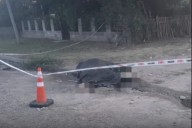 Un nene andaba a caballo, el animal pisó un cable y murió electrocutado: El pequeño se salvó de milagro
