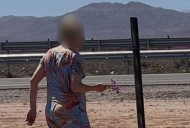 Indignación en Atacama: captan a persona arrancando flores del Desierto Florido