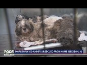 More than 100 animals rescued from home; homeowner faces cruelty charge