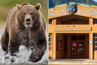 Mom’s Son Was So Close to Attacking Grizzly That He 'Felt Its Fur'