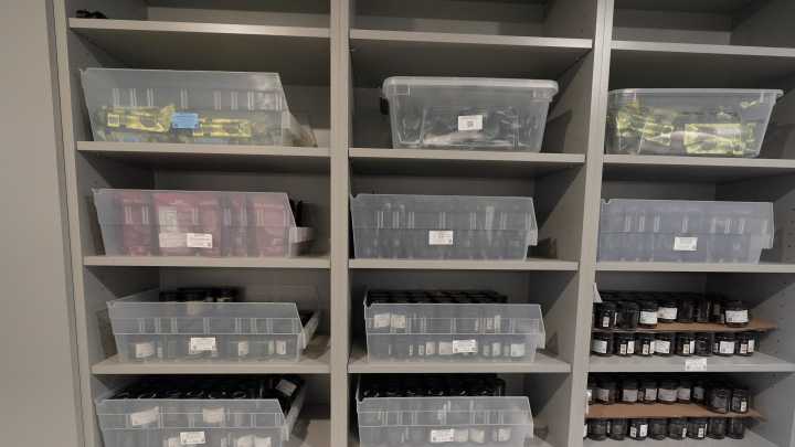 Rochester welcomes innovative farm-to-table cannabis concept