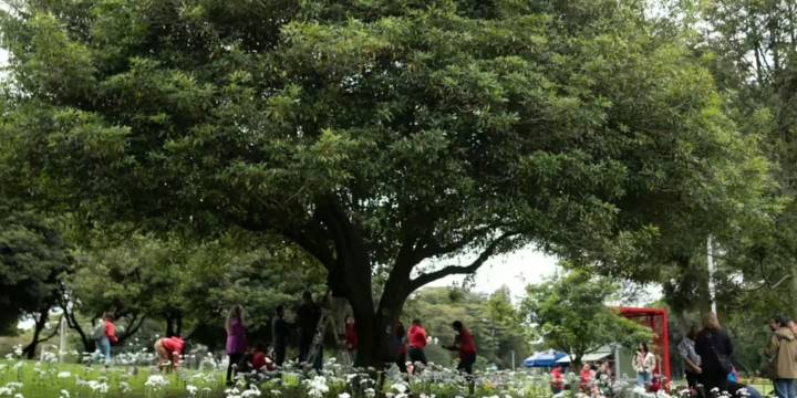 Bogotá realizará un concierto en memoria de las víctimas de siniestros viales este lunes festivo: hora y lugar