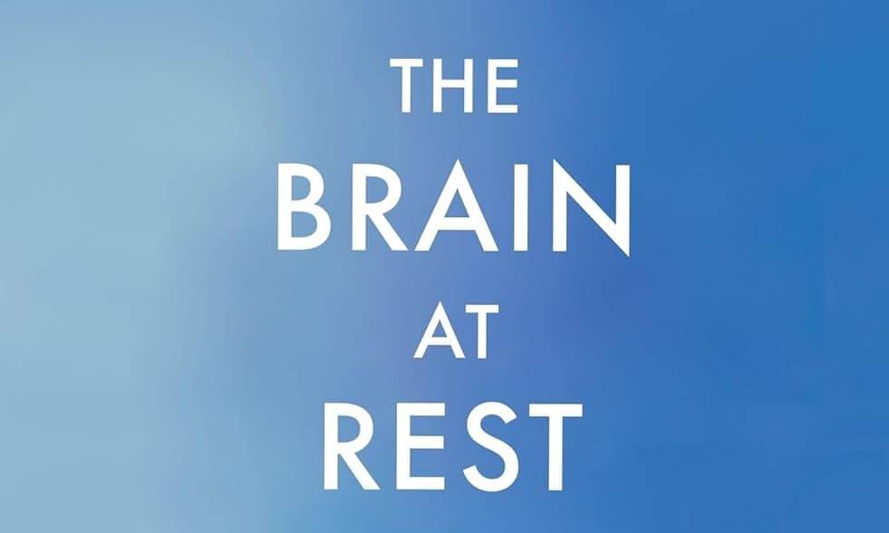 The Brain at Rest book review: Can not working help us do more?