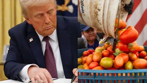 EU: Trump elimina aranceles a tomate, aguacate y carne