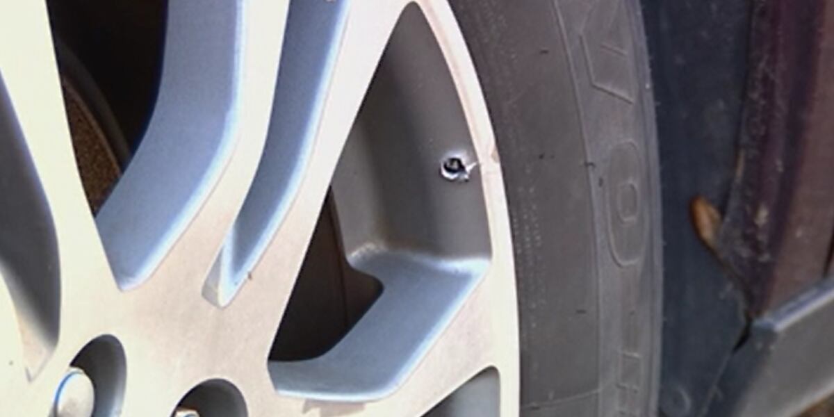 Woman describes terrifying encounter with Nashville shooting suspect Marcos Palacios