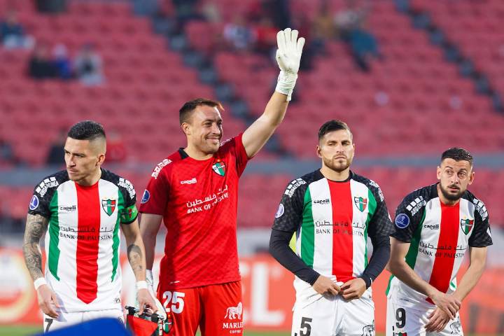 Alarma en Palestino: pierden a una de sus figuras para la recta final del Campeonato Nacional