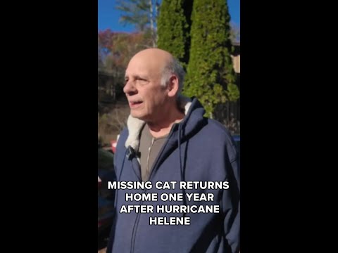Missing cat returns home one year after hurricane