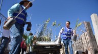 Entregaron árboles de ornata y sombra a vecinos de Granja San Rafael