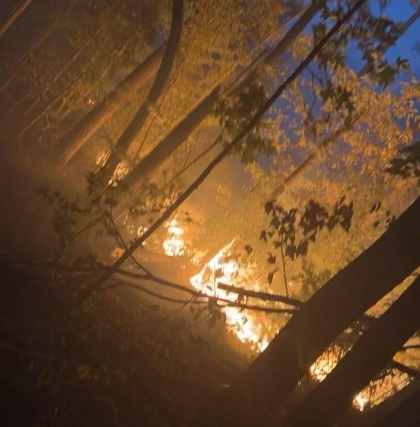 Mississippi Forestry Commission Warns of High Wildfire Risk Monday