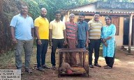 Rare Pangolin rescued from plantation in Belthangady, released into forest