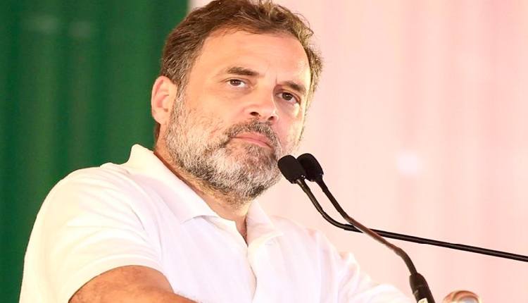 Nehru’s Writings Record Of India’s Evolving Conscience, Not Just History, Says Rahul Gandhi