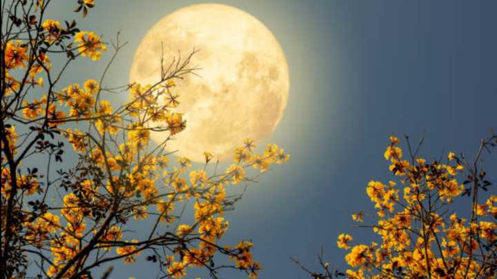 Is it a full moon tonight? When is November's Beaver Moon 2025?