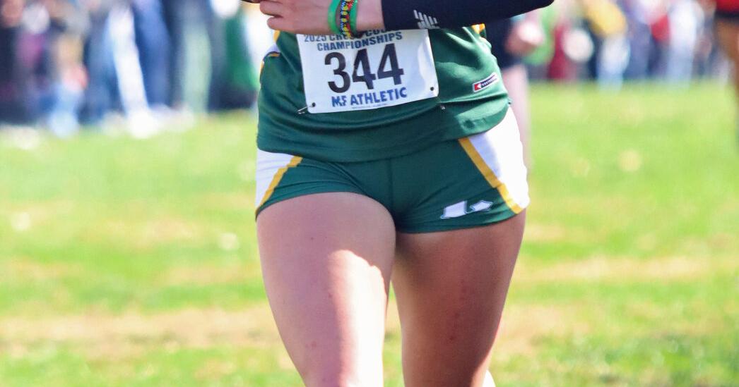 Lewisburg girls third at state cross