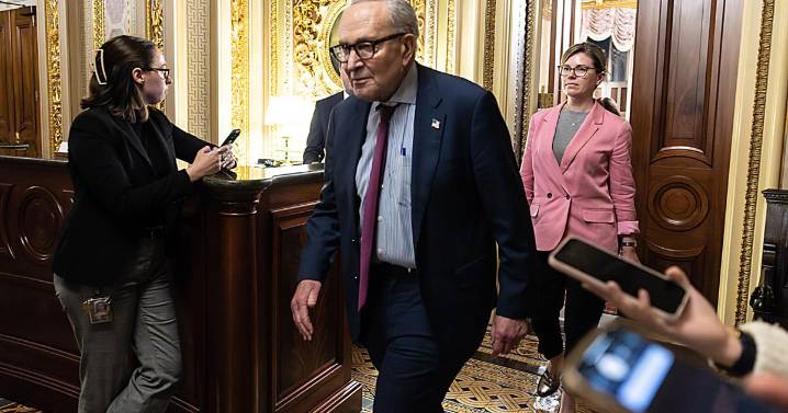 Democrats concede shutdown fight without health care win in hand