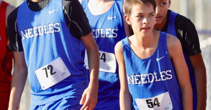 Needlss cross country competes in 2 races; 2 Mustangs heading to state