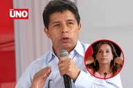 Pedro Castillo denuncia a 100 congresistas y a Dina Boluarte por vacancia que considera ilegal