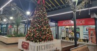 Christmas tree dream comes true for Kingswood community
