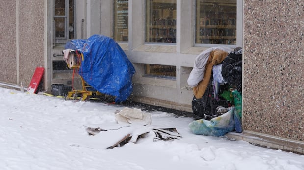 Residents willing to pay to address Saskatoon's homelessness crisis, survey suggests