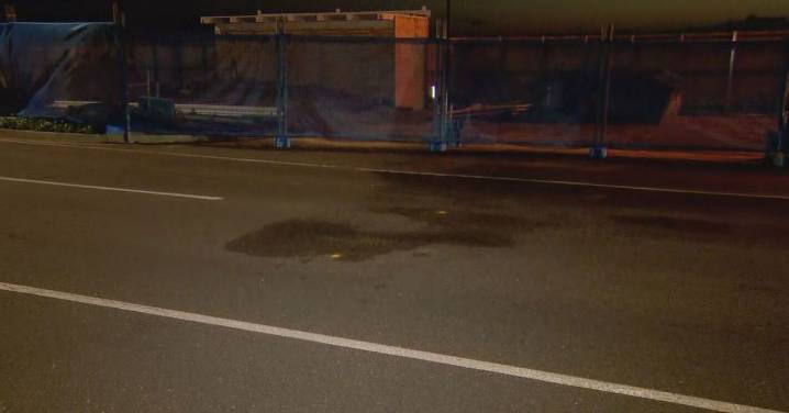 Teen girl killed in asuspected hit