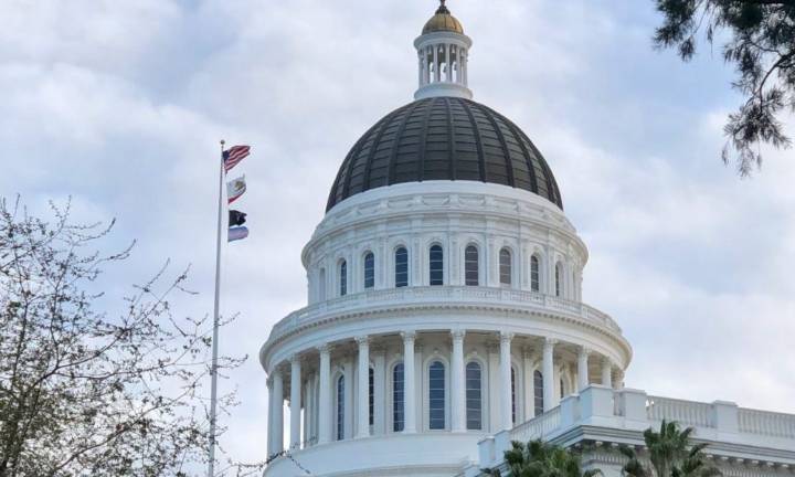 Midterms proved respecting trans lives isn’t optional; it’s essential to democracy