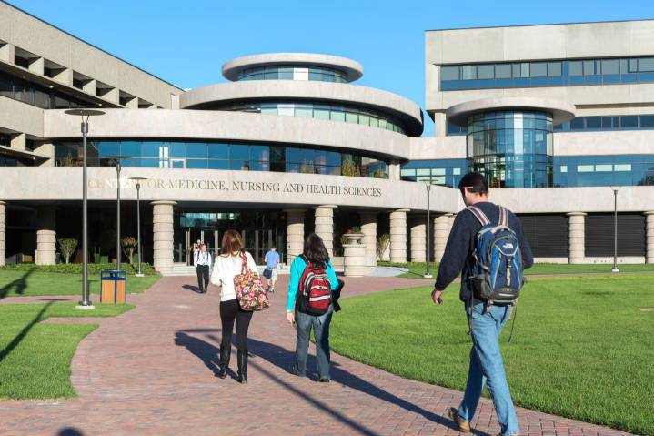 CT university launches generous scholarship for Girl Scouts of Connecticut