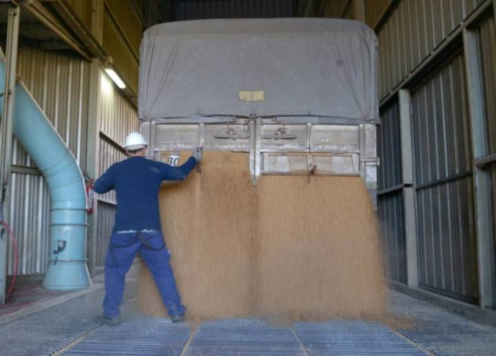 Récord en exportaciones agroindustriales en septiembre