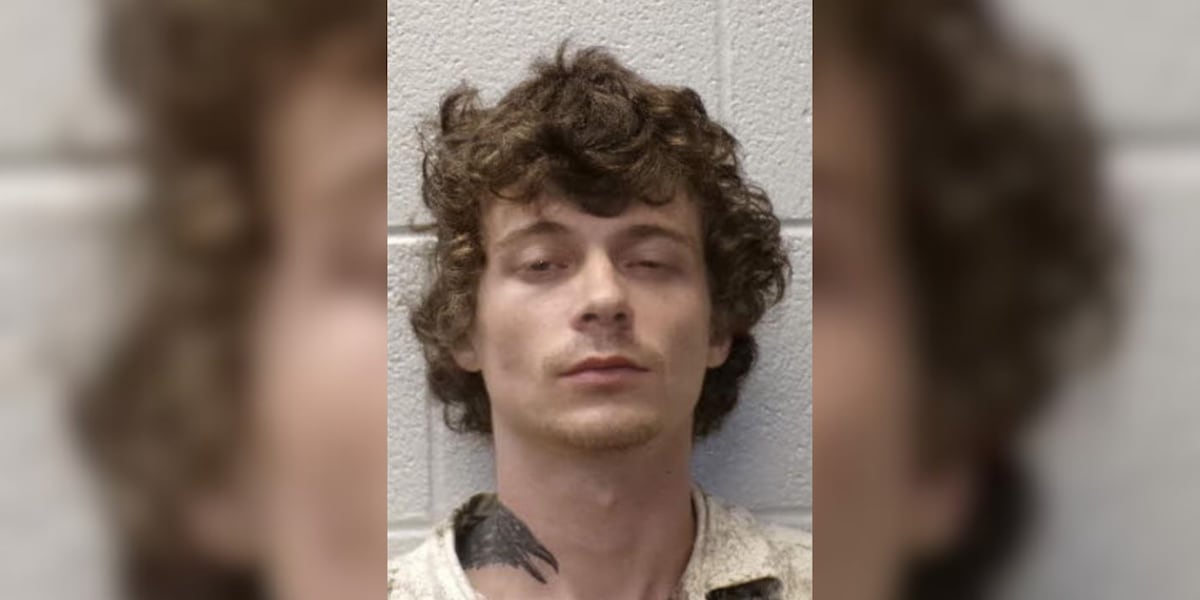 Deputies: Man charged with 8 counts of sexual exploitation of minor