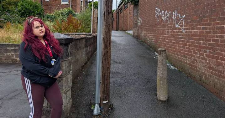 'Many of us no longer feel safer in Meir - CCTV and alley gates will help'