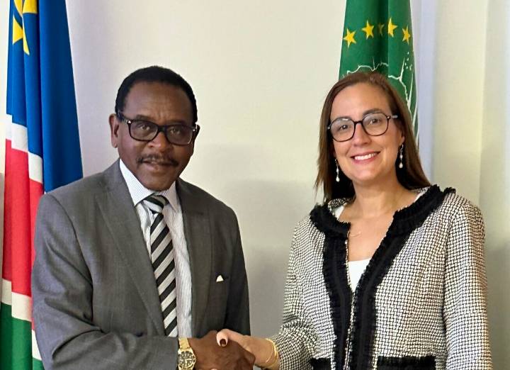 Venezuela y Namibia fortalecen lazos binacionales de cooperación