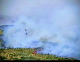 Incendios forestales en el norte de Neuquén: piden refuerzos para combatir el fuego